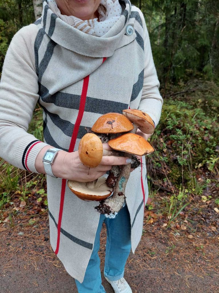 Sienten poiminta mökillä
